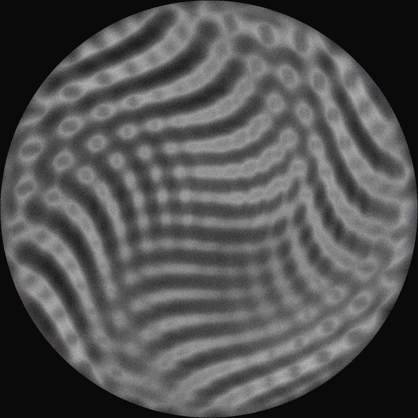 Tadan - Muses | area127 (127AREA005) - 2
