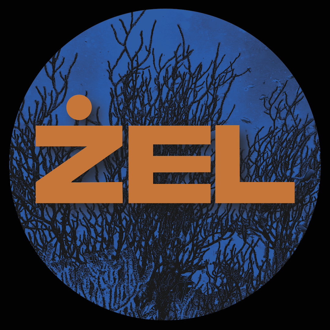 Ducato Driver - The Meaning Of Dè | ZEL Records (ZEL002) - 2 Ducato Driver - The Meaning Of Dè | ZEL Records (ZEL002) - 2