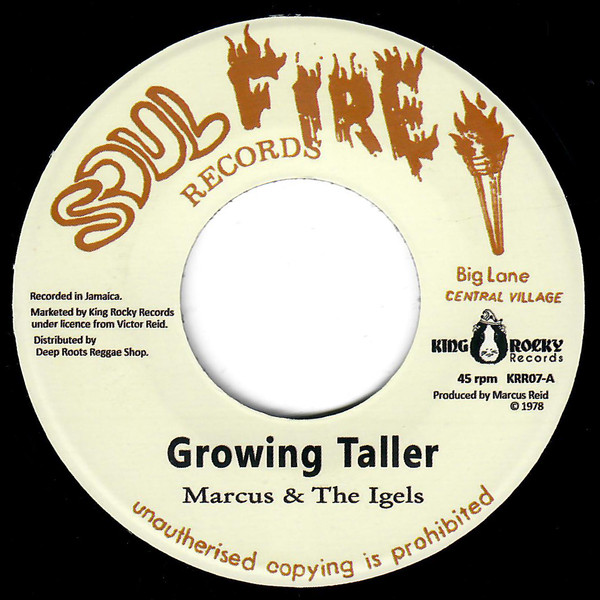Marcus & The Igels - Growing Taller / Studio Works | King Rocky Records (KRR07)