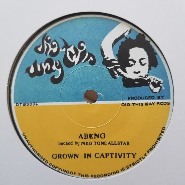 Abeng meets Med Tone All Stars - Grown In Captivity | Dig This Way Records (DTWS004)