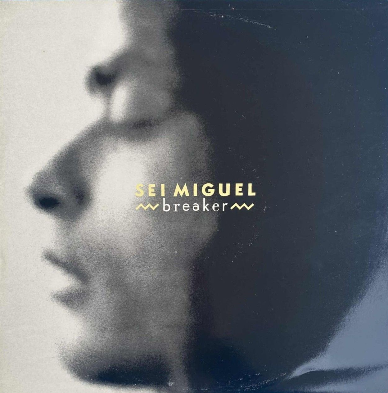 Sei Miguel - Breaker | Ama Romanta (AMRO012)