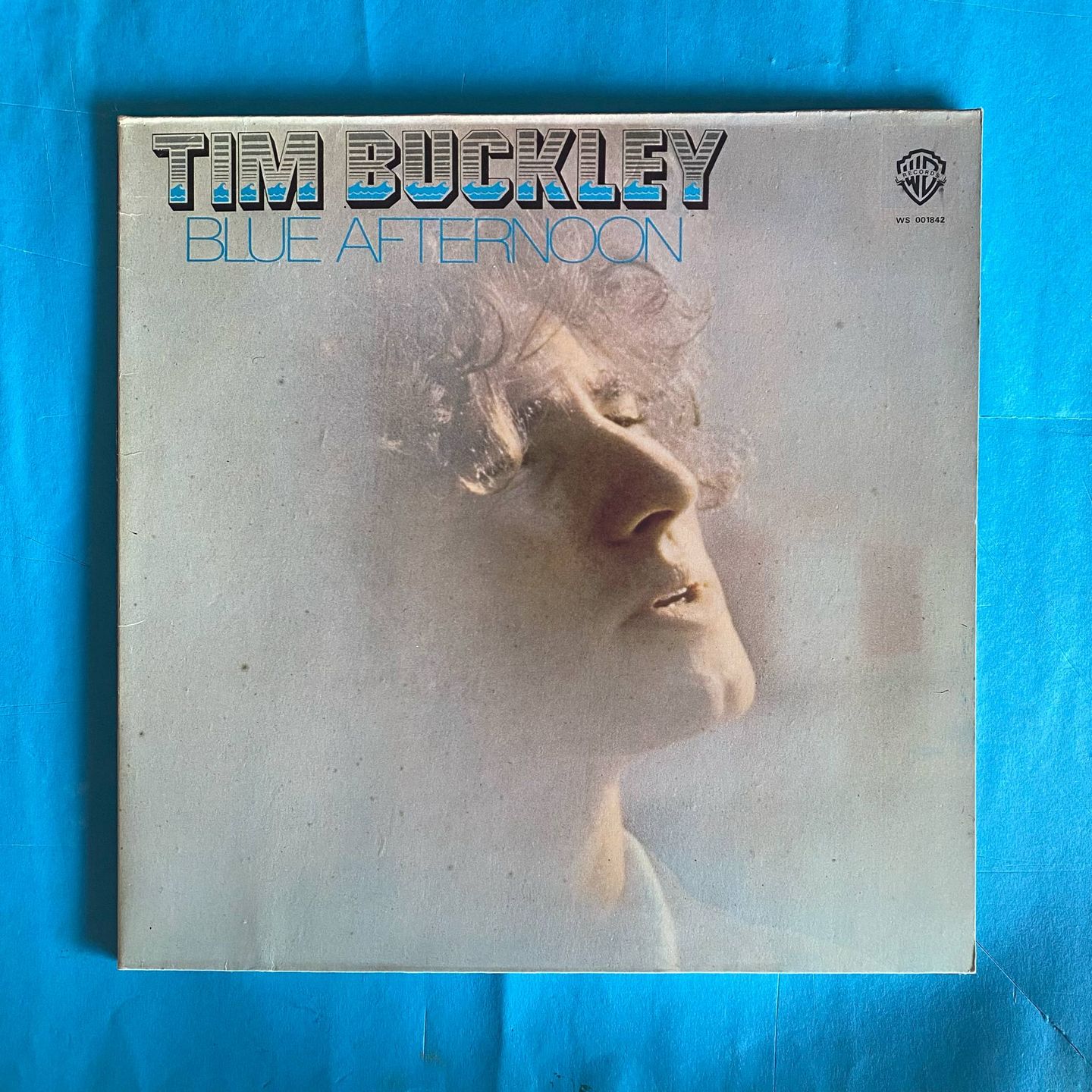 Tim Buckley - Blue Afternoon | Warner Bros. Records (WS 001842)