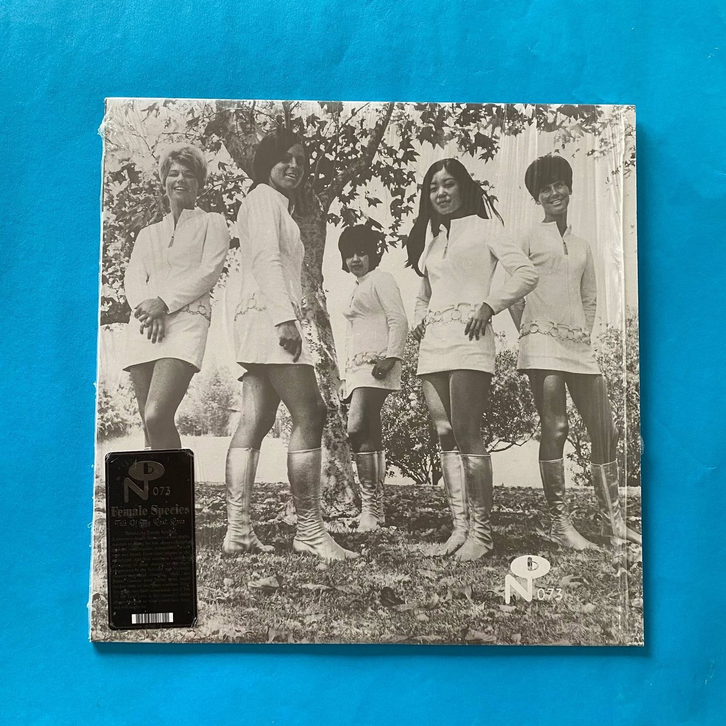 Female Species - Tale Of My Lost Love | Numero Group (NUM073)