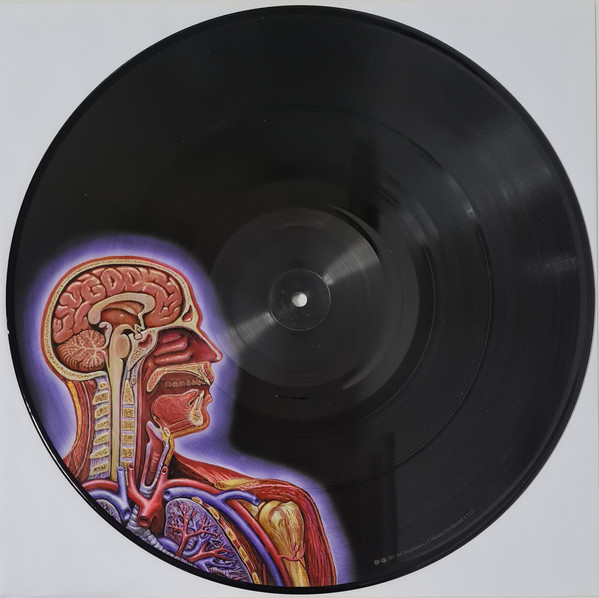 Tool - Lateralus | Volcano (61422-31160-1 LP) - 8 Tool - Lateralus | Volcano (61422-31160-1 LP) - 8
