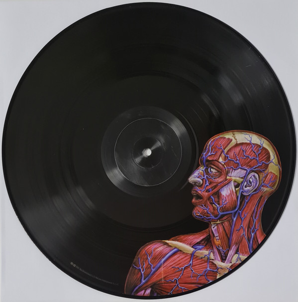 Tool - Lateralus | Volcano (61422-31160-1 LP) - 5 Tool - Lateralus | Volcano (61422-31160-1 LP) - 5