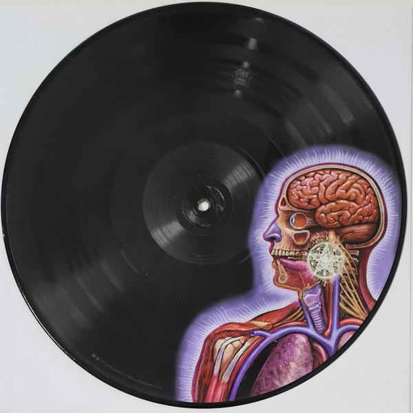 Tool - Lateralus | Volcano (61422-31160-1 LP) - 7 Tool - Lateralus | Volcano (61422-31160-1 LP) - 7