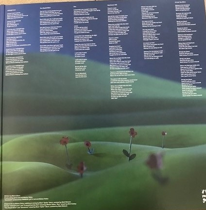Girl In Red - If I Could Make It Go Quiet | AWAL Recordings Ltd (GIR002LPX) - 4 Girl In Red - If I Could Make It Go Quiet | AWAL Recordings Ltd (GIR002LPX) - 4