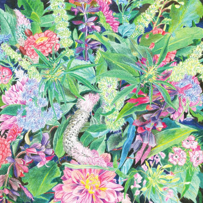 Light-Space Modulator - The Rising Wave | AD 93 (WHYT095) - main