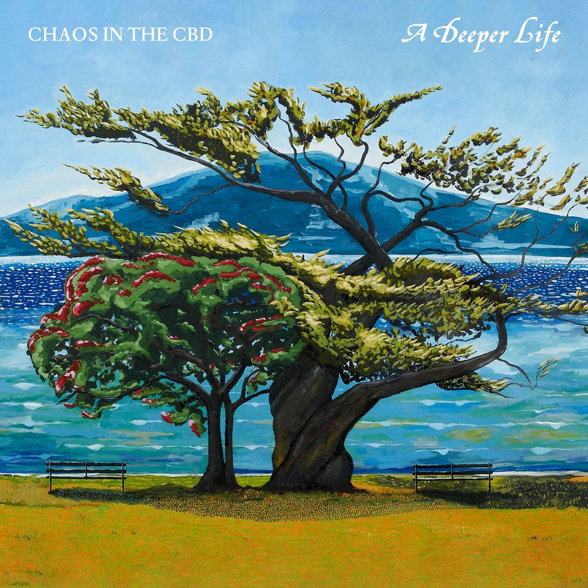 Chaos In The Cbd - A Deeper Life | In Dust We Trust (IDWTLP 001)