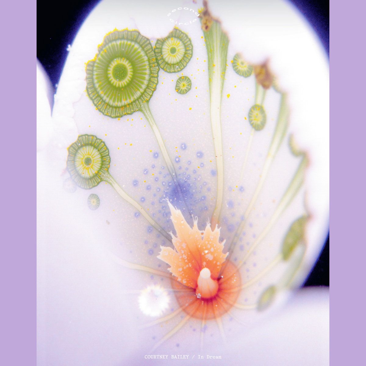 Courtney Bailey - In Dream | Second Circle (SC023) - main Courtney Bailey - In Dream | Second Circle (SC023) - main