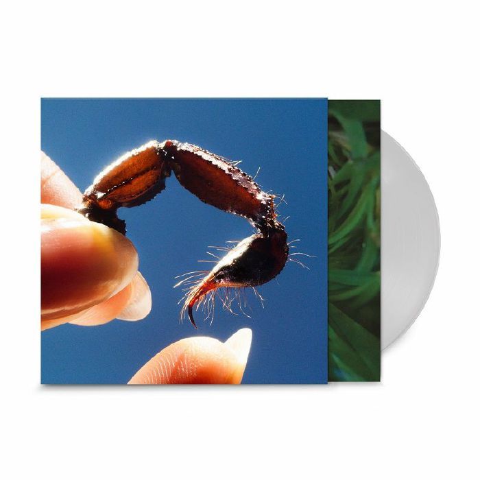 Squid - Coward | Warp Records (WARPLP368) - 2 Squid - Coward | Warp Records (WARPLP368) - 2
