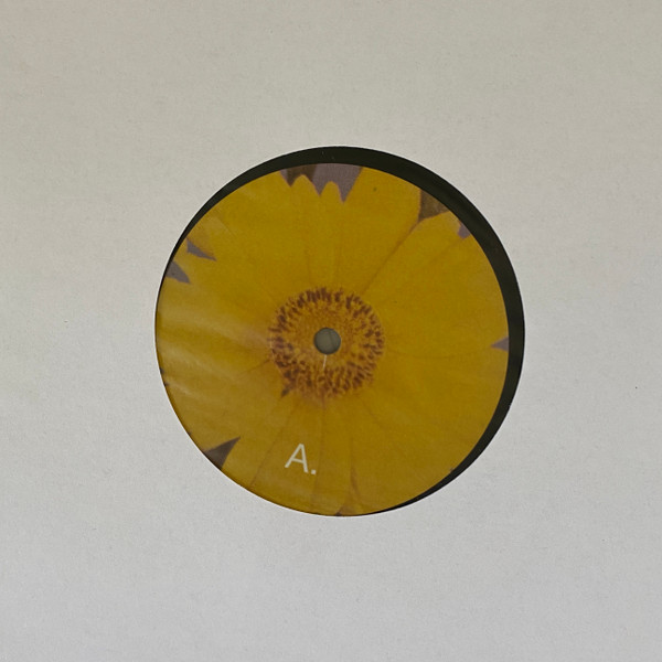 Green-House - Six Songs for Invisible Gardens | Leaving Records (LR 159) - 3