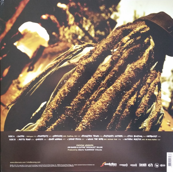 Alborosie - Soul Pirate | Evolution Music Group (EVLP012) - 3 Alborosie - Soul Pirate | Evolution Music Group (EVLP012) - 3