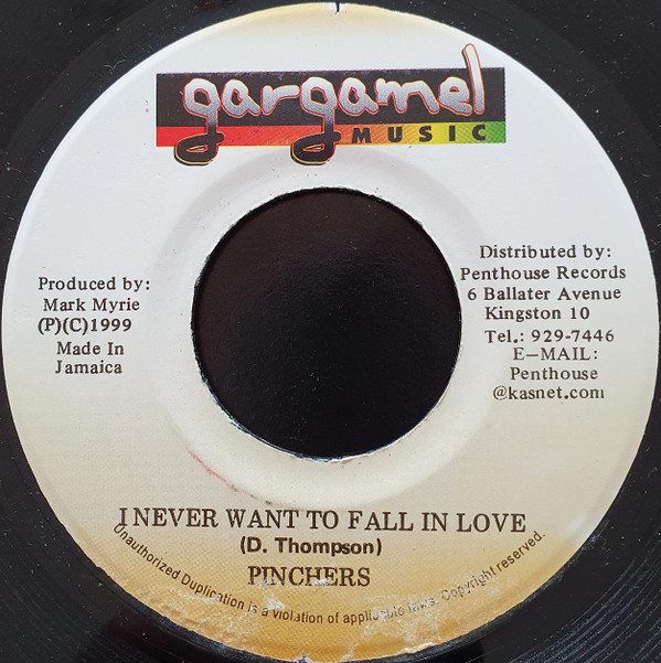 I Never Want To Fall In Love