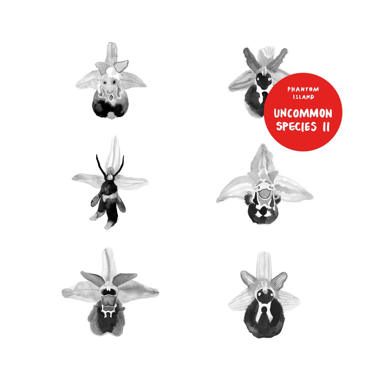 Various - Uncommon Species II | Phantom Island (PHI-23)