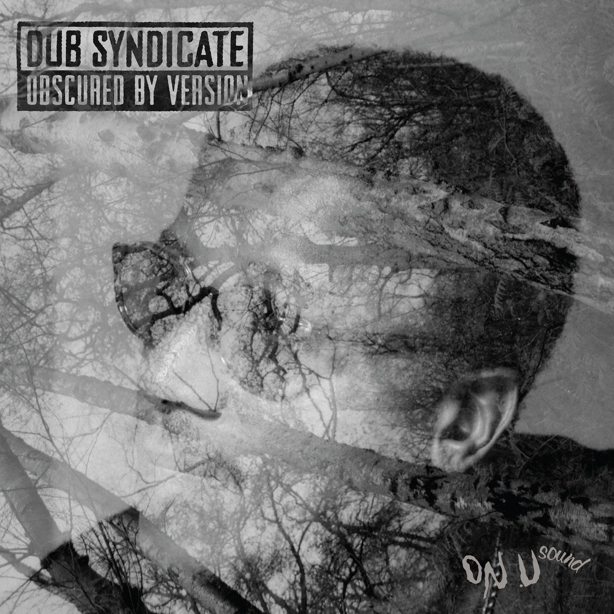 Dub Syndicate - Obscured By Version | On-U Sound (ONULP162)
