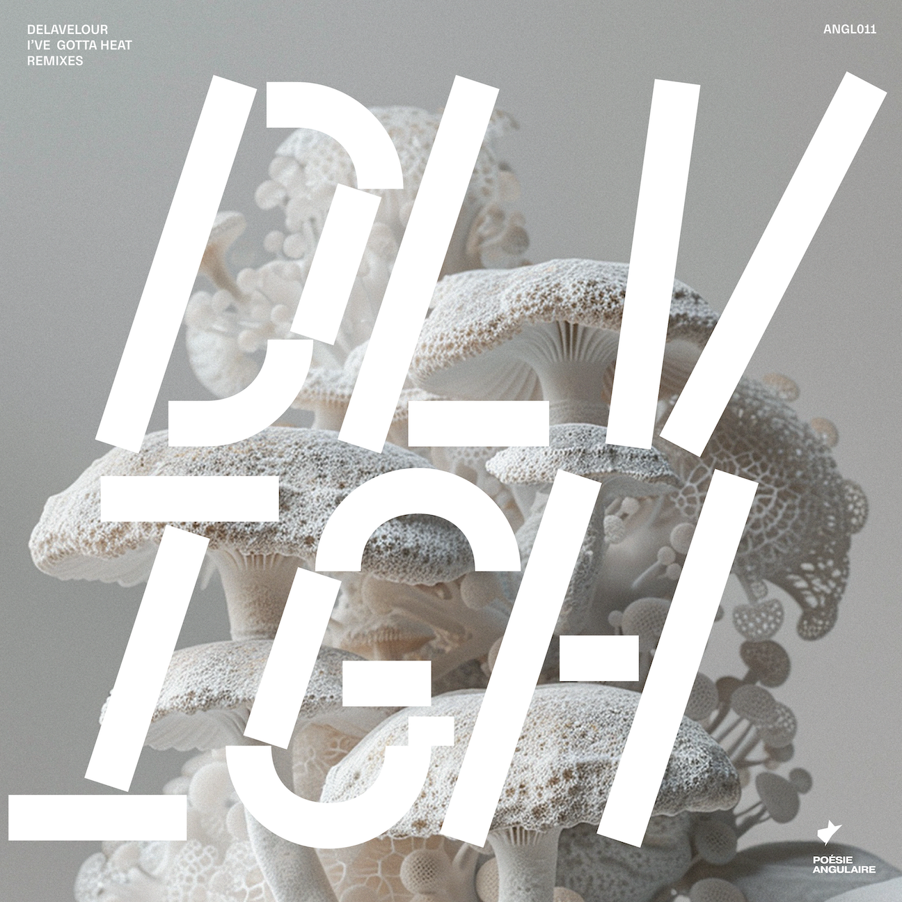 Delavelour - I've Gotta Heat Remixes | Poésie Angulaire (ANGL011)