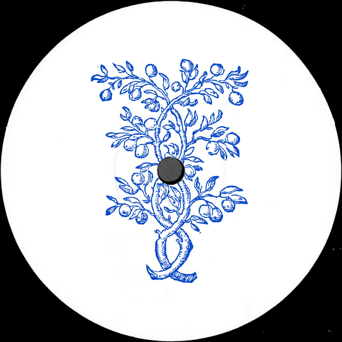 Maria Amor , Shcuro - Intertwined | Paraíso (PARAISO015) - main Maria Amor , Shcuro - Intertwined | Paraíso (PARAISO015) - main