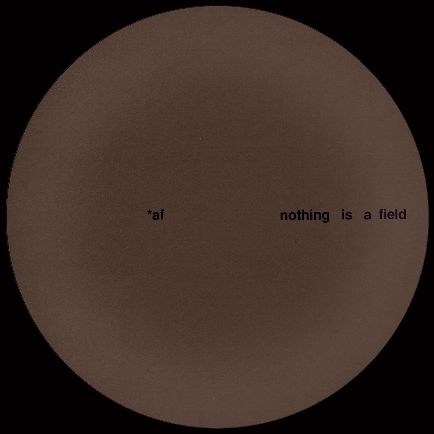Adam Feingold - Nothing Is A Field | Temple (TMPL009)