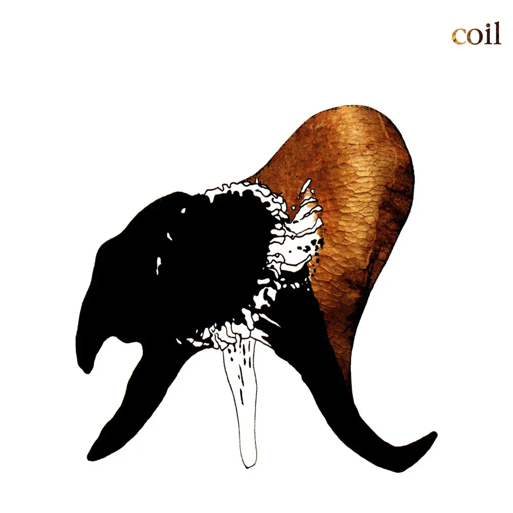 Coil - Black Antlers | Dais Records (dais189)