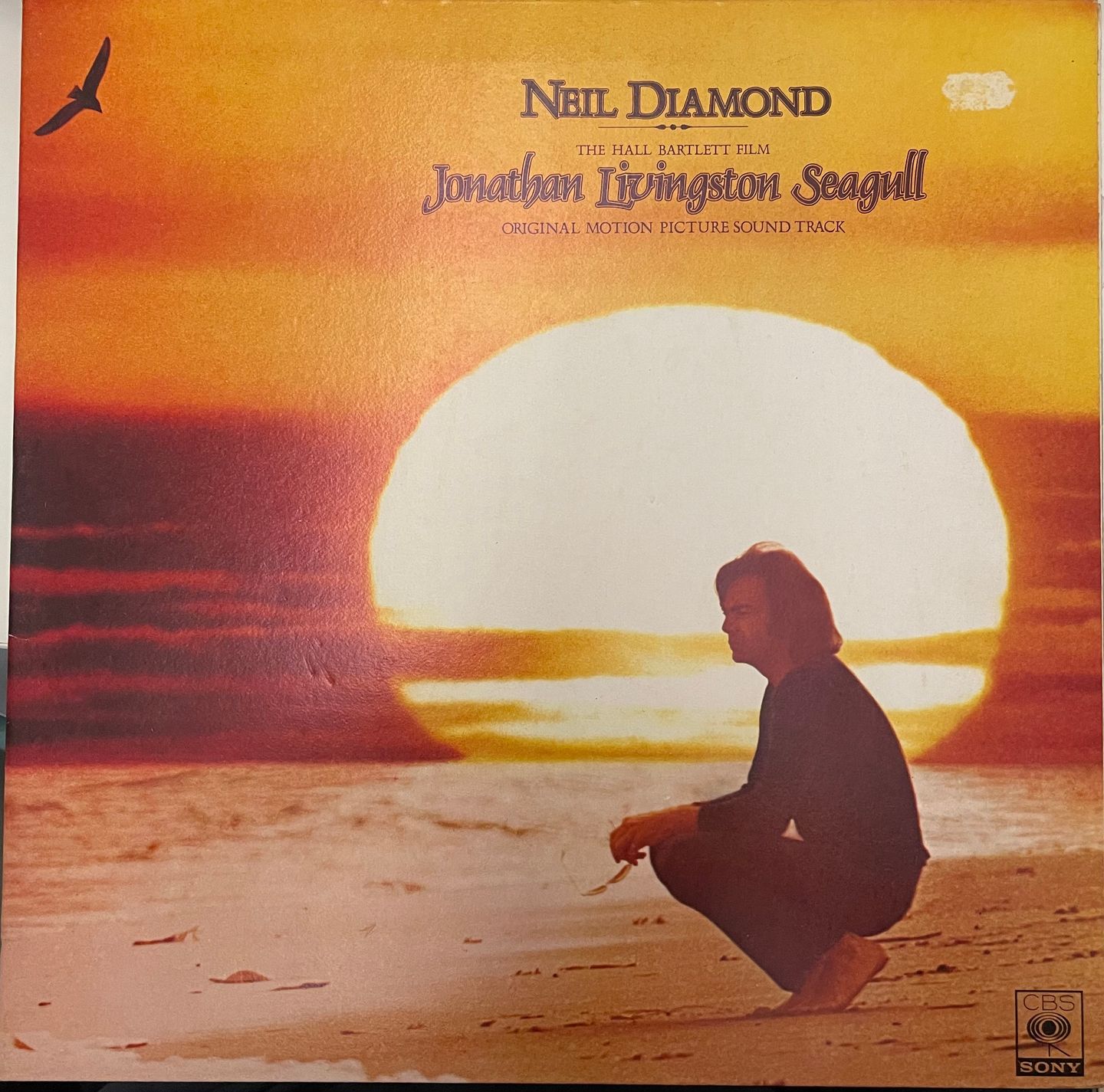 Jonathan Livingston Seagull (Original Motion Picture Sound Track)