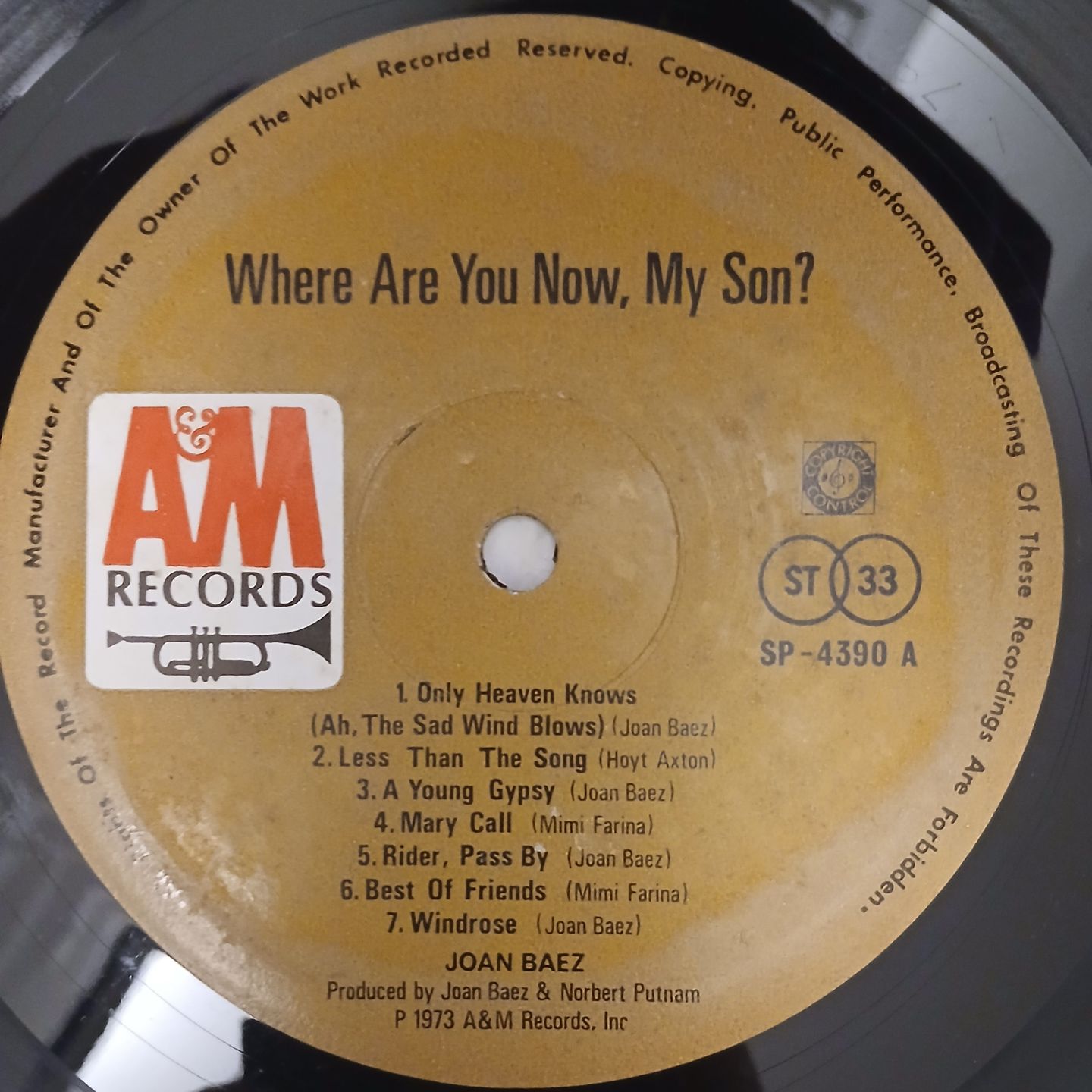Where Are You Now, My Son?