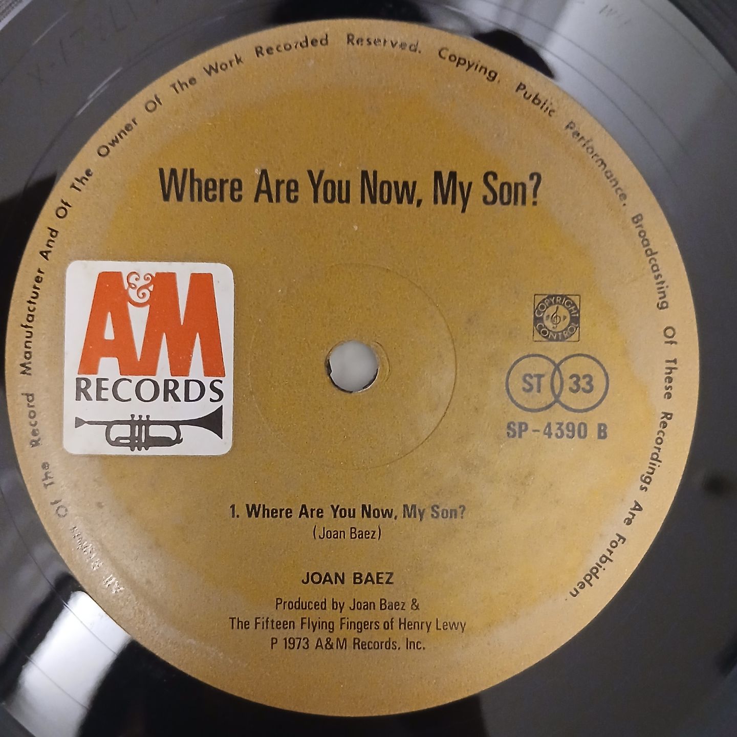 Where Are You Now, My Son?