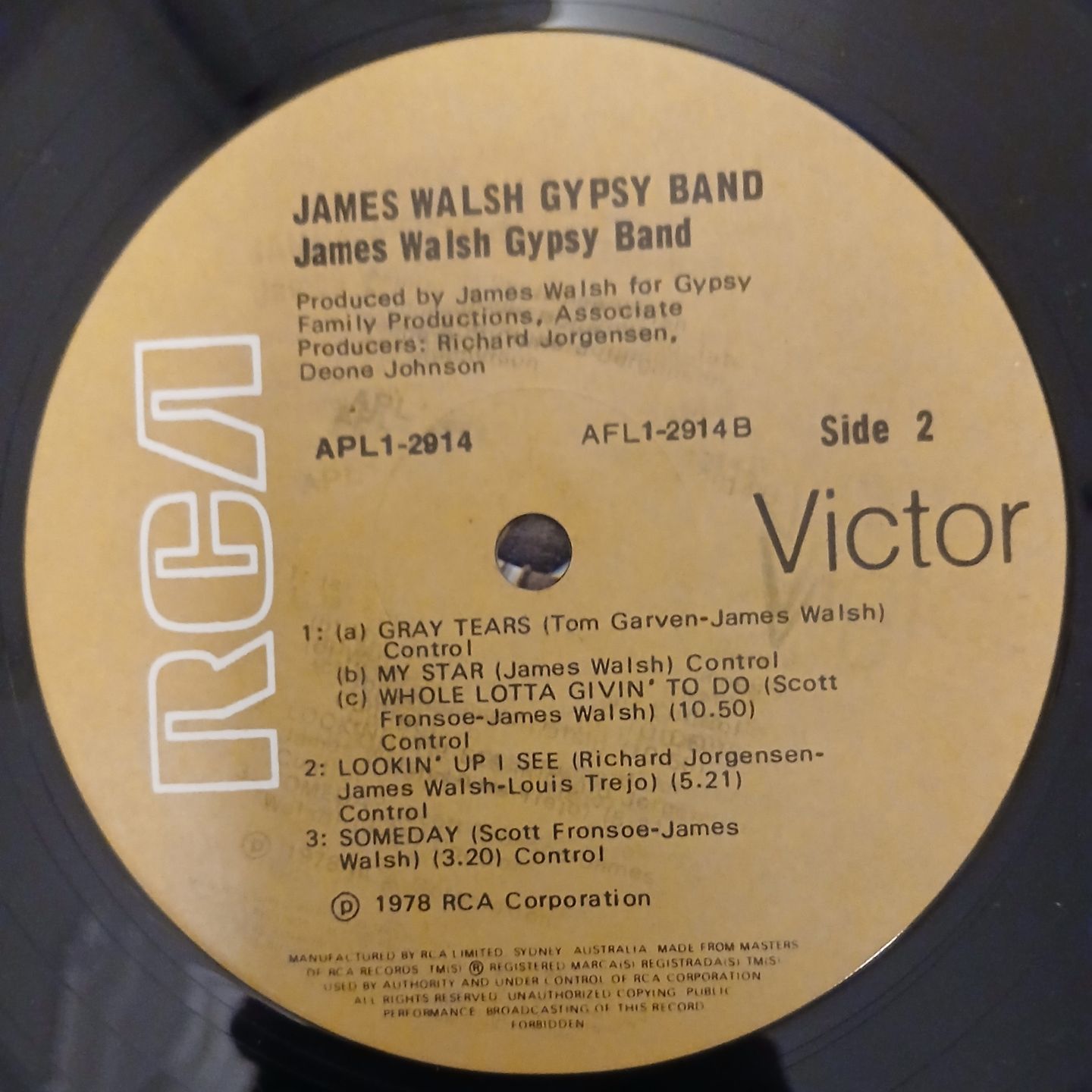 James Walsh Gypsy Band