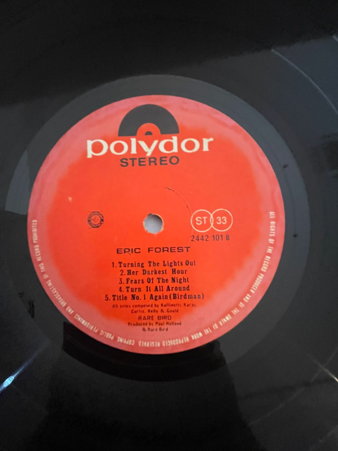 Rare Bird - Epic Forest | Poyldor (2442 101) - 4 Rare Bird - Epic Forest | Poyldor (2442 101) - 4