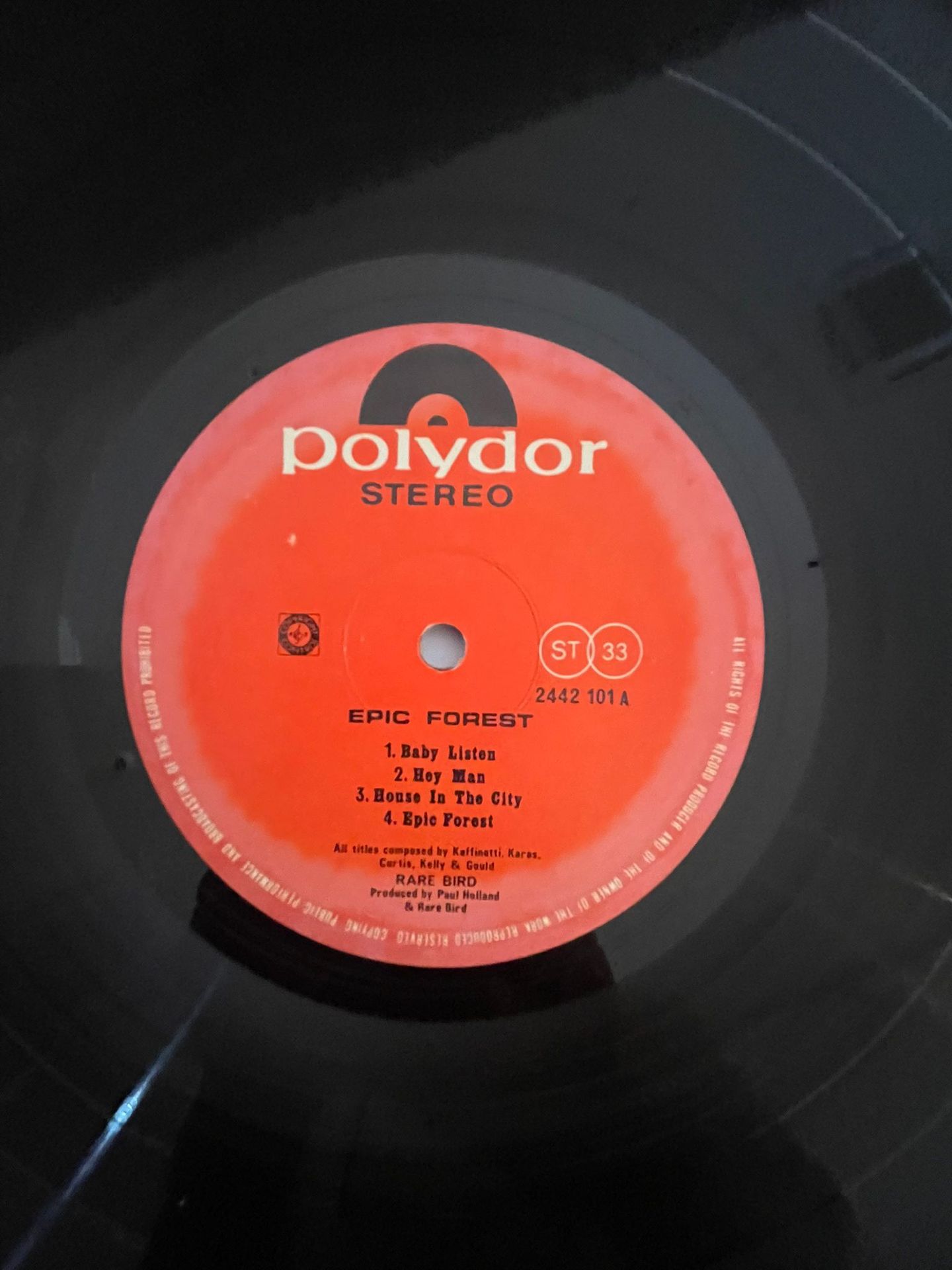 Rare Bird - Epic Forest | Poyldor (2442 101) - 5 Rare Bird - Epic Forest | Poyldor (2442 101) - 5