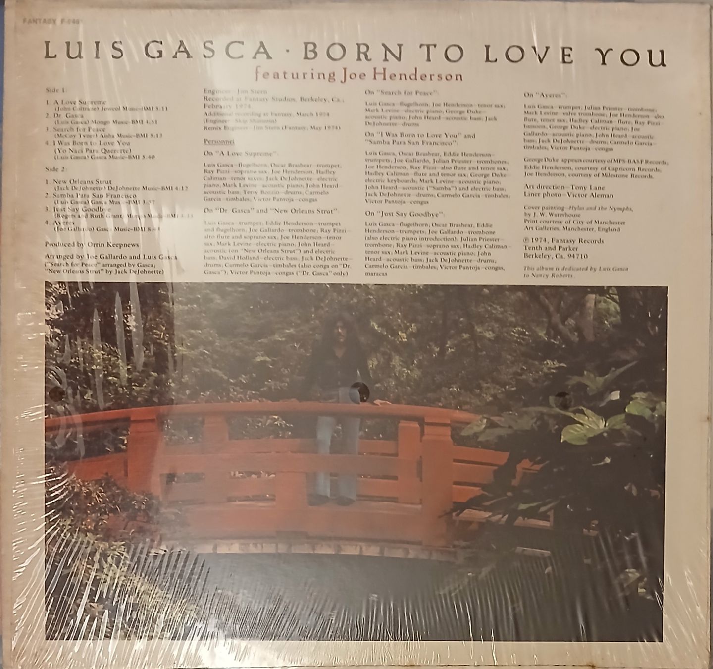 Born To Love You