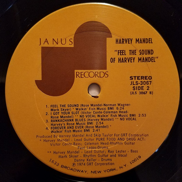 Feel The Sound Of Harvey Mandel