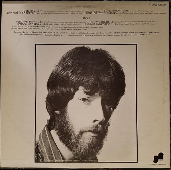 Feel The Sound Of Harvey Mandel