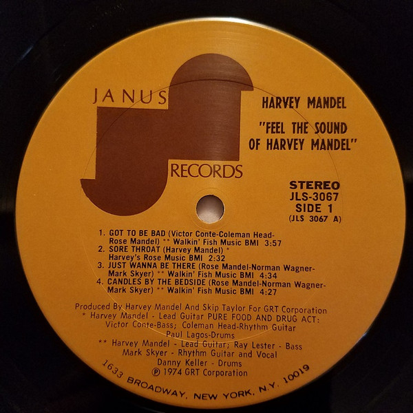 Feel The Sound Of Harvey Mandel