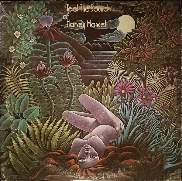 Feel The Sound Of Harvey Mandel