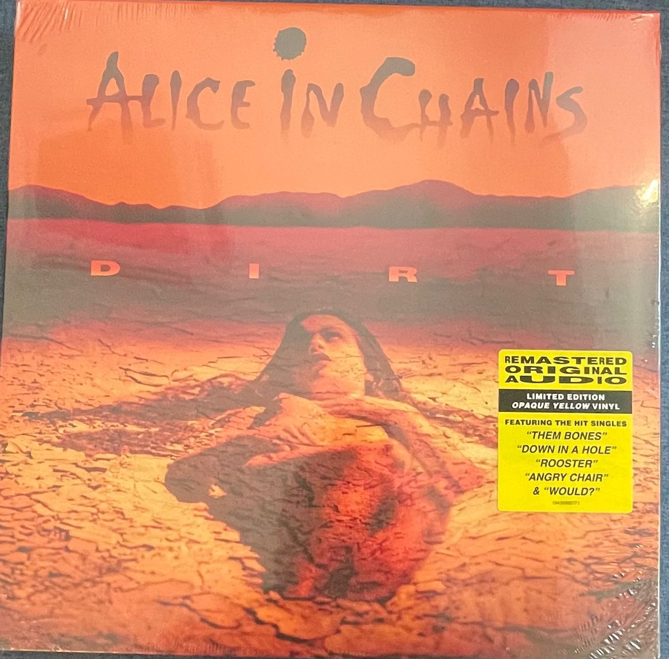 Alice In Chains - Dirt | Columbia (19439986771)