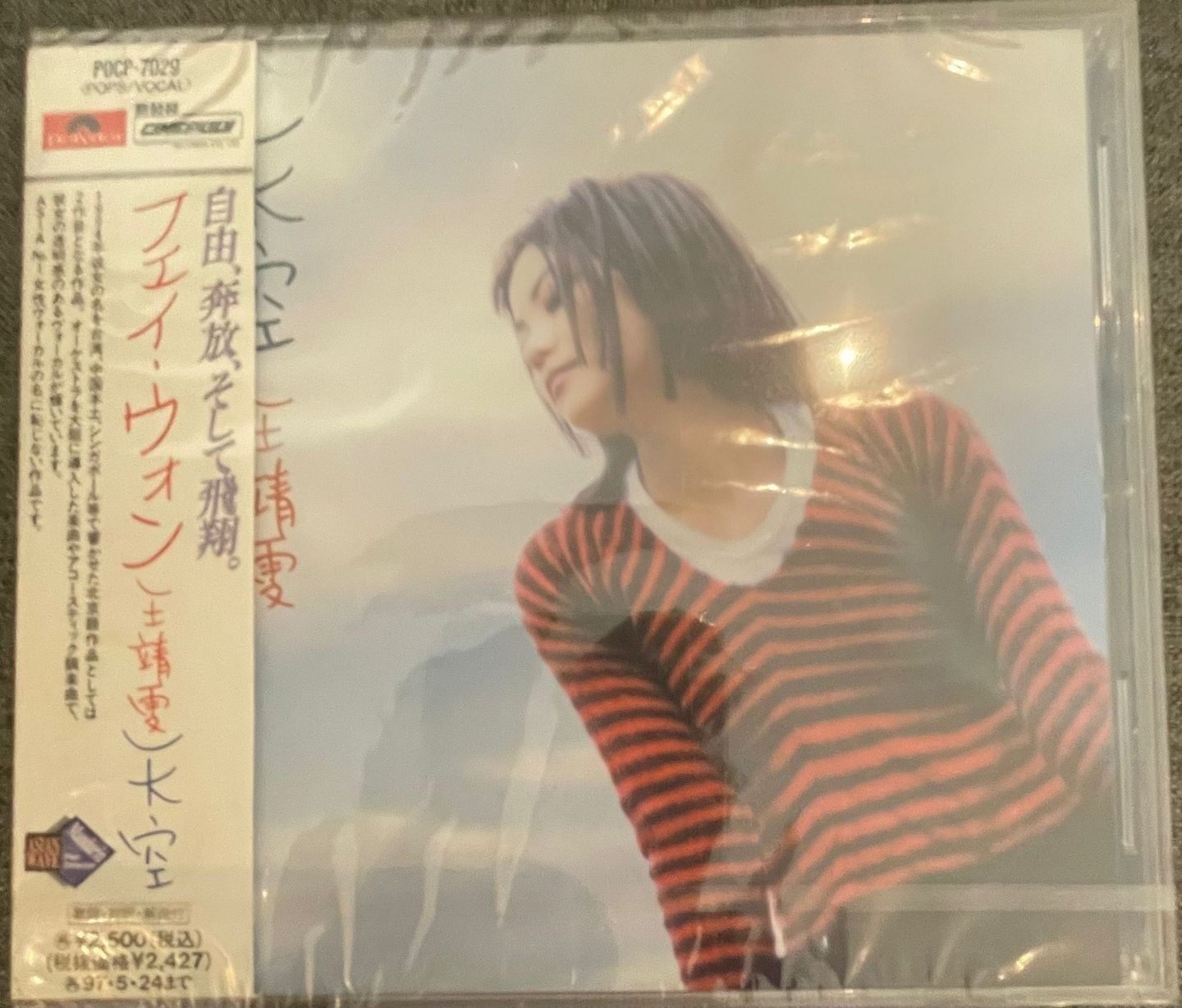 Faye Wong - 天空 | Polydor (POCP-7029)