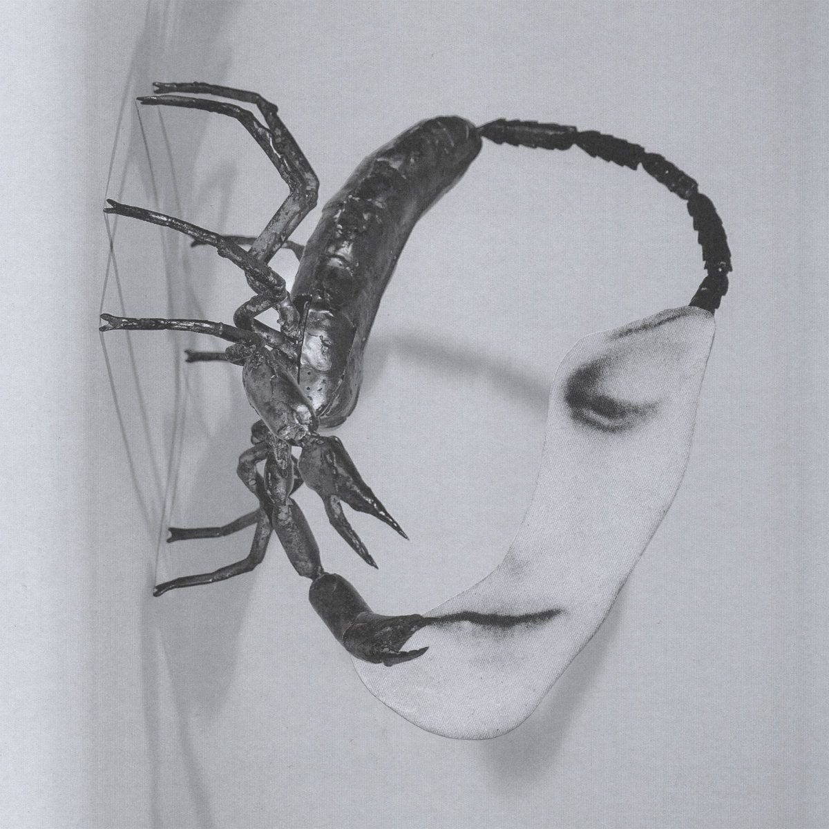 Tortoise - Touch | International Anthem Recording Company ()