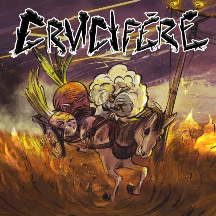 Crucifère - Crucifère |  () - main