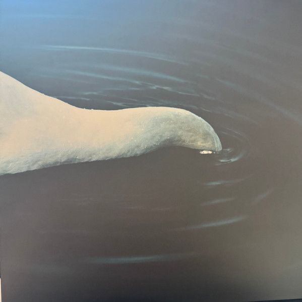 Sure - Destruction Of Form | Frozen Records (FRZN032LP)