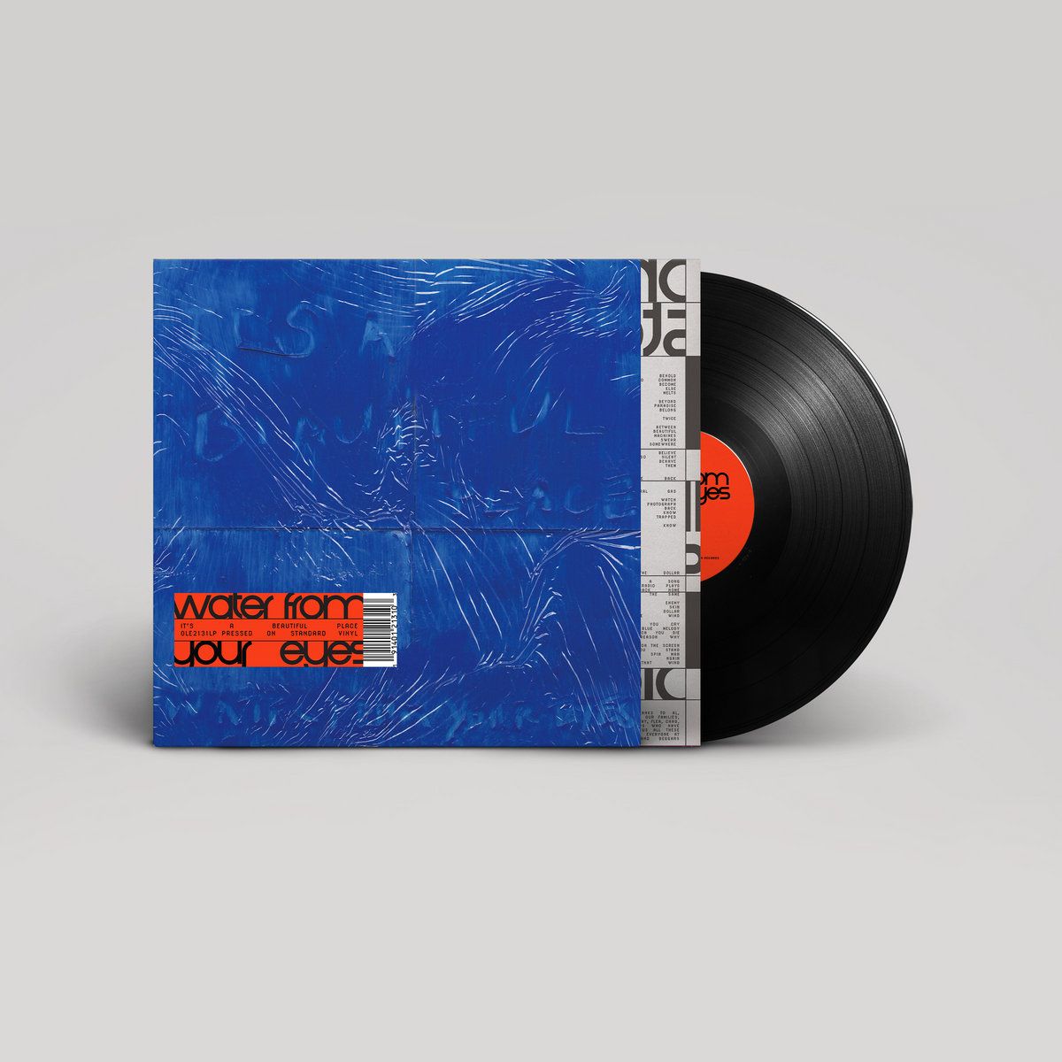 Water From Your Eyes - It's A Beautiful Place | Matador (OLE2131LP) - 2