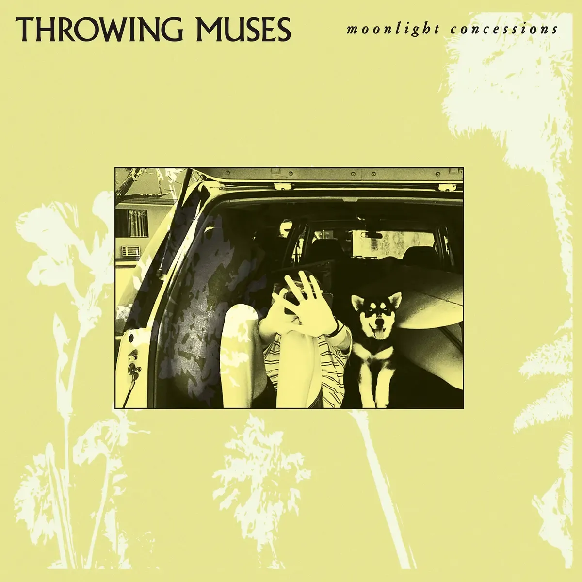 Throwing Muses - Moonlight Concessions | Fire Records (FIRELP650)
