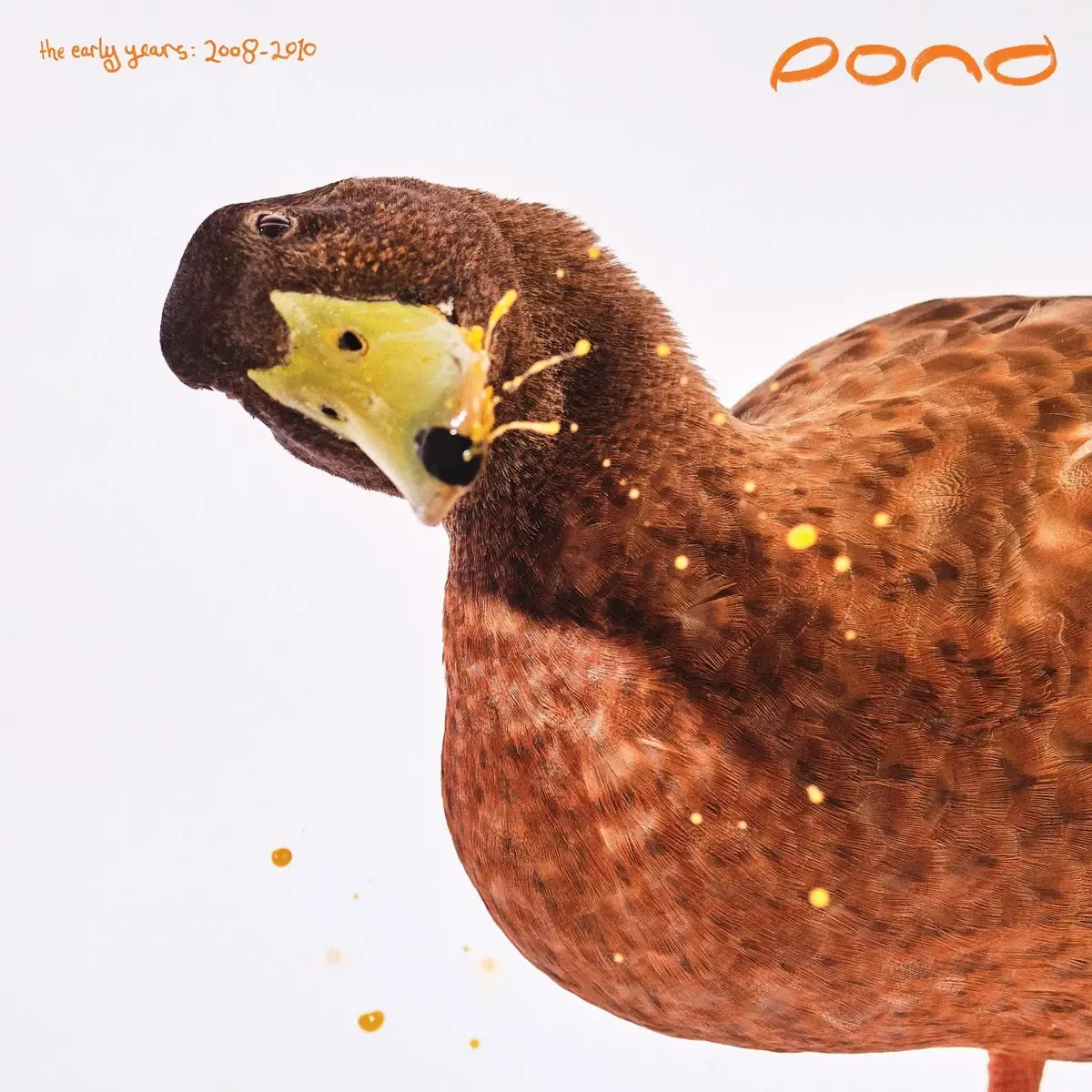 Pond - The Early Years: 2008 – 2010 - RSD 2025 | Spinning Top (STR038LPC1) - main