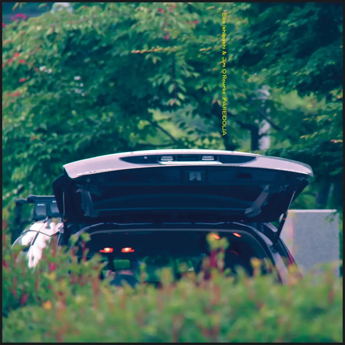 Eiko Ishibashi and Jim O'Rourke - Pareidolia | Drag City (DC921) - main