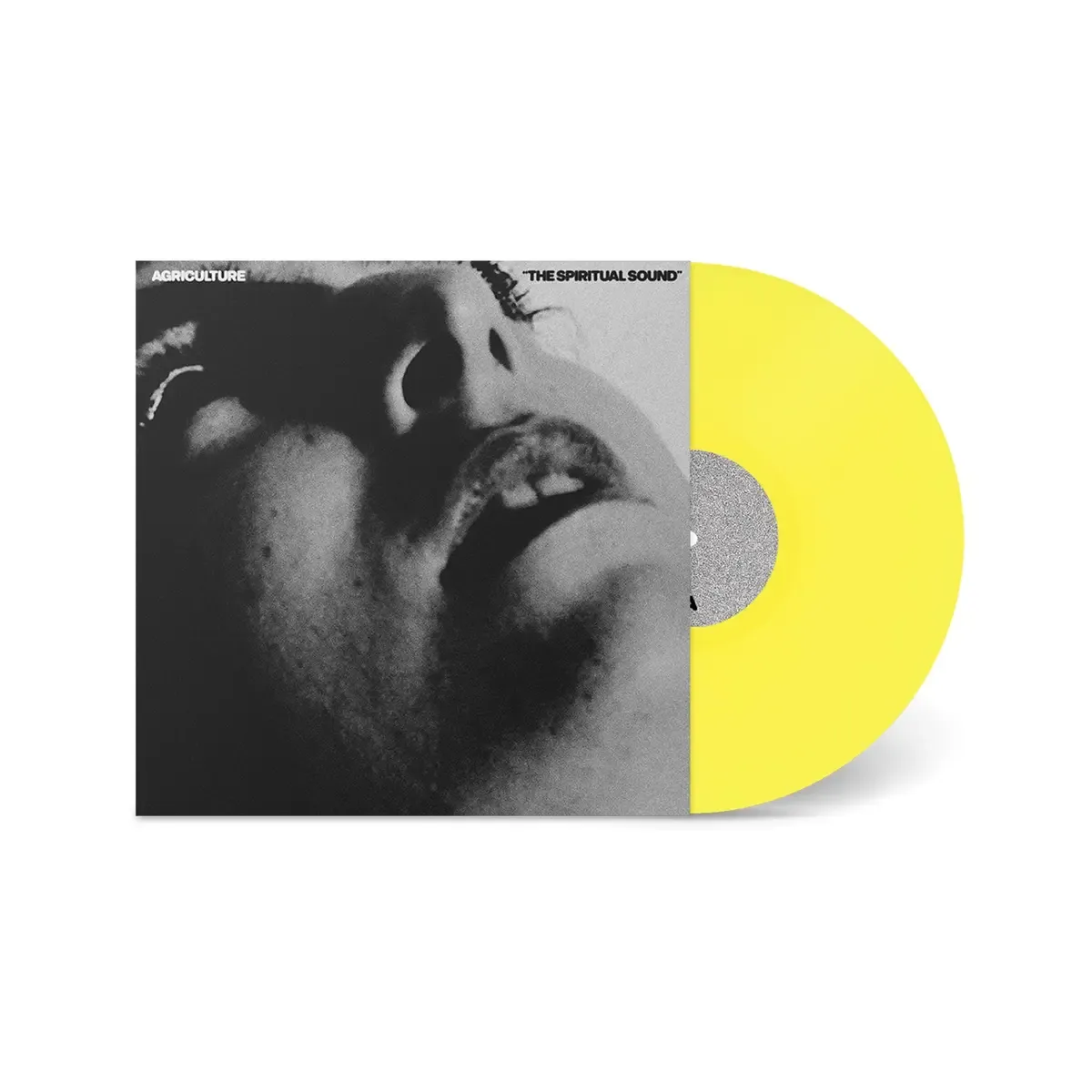 Agriculture - The Spiritual Sound | Flenser Records (FR181LPX) - main