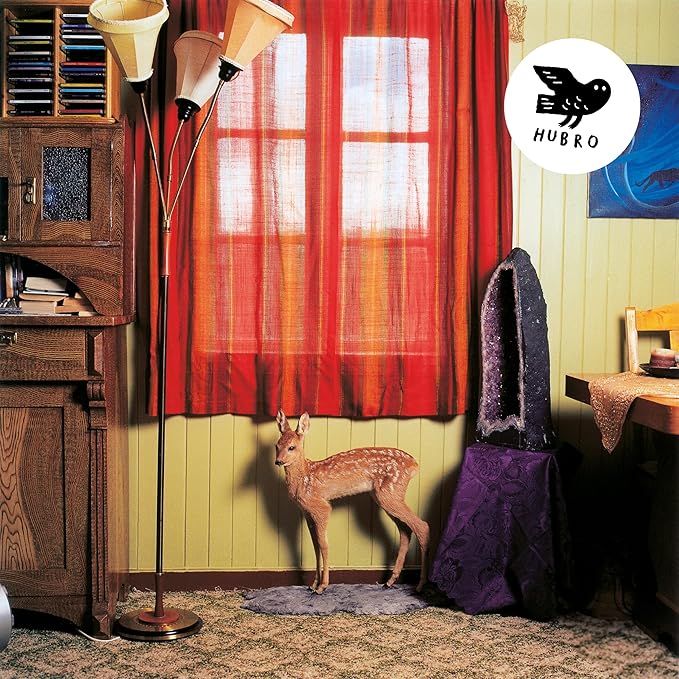 Trond Kallevåg Hansen - Minnesota |  () - main