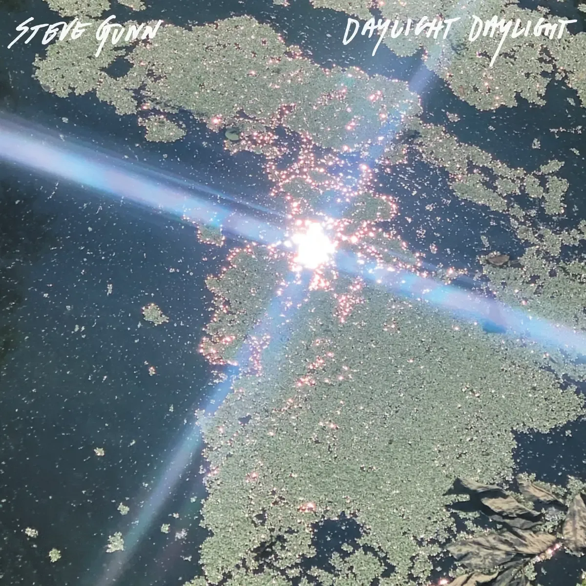 Steve Gunn - Daylight Daylight | No Quarter (NOQ103LP) - main