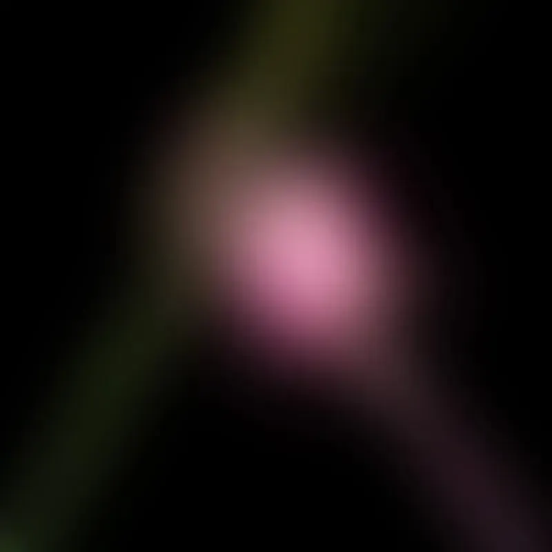 various - Wicked For Good: The Soundtrack - RSD Black Friday 2025 | Island (7567945) - main