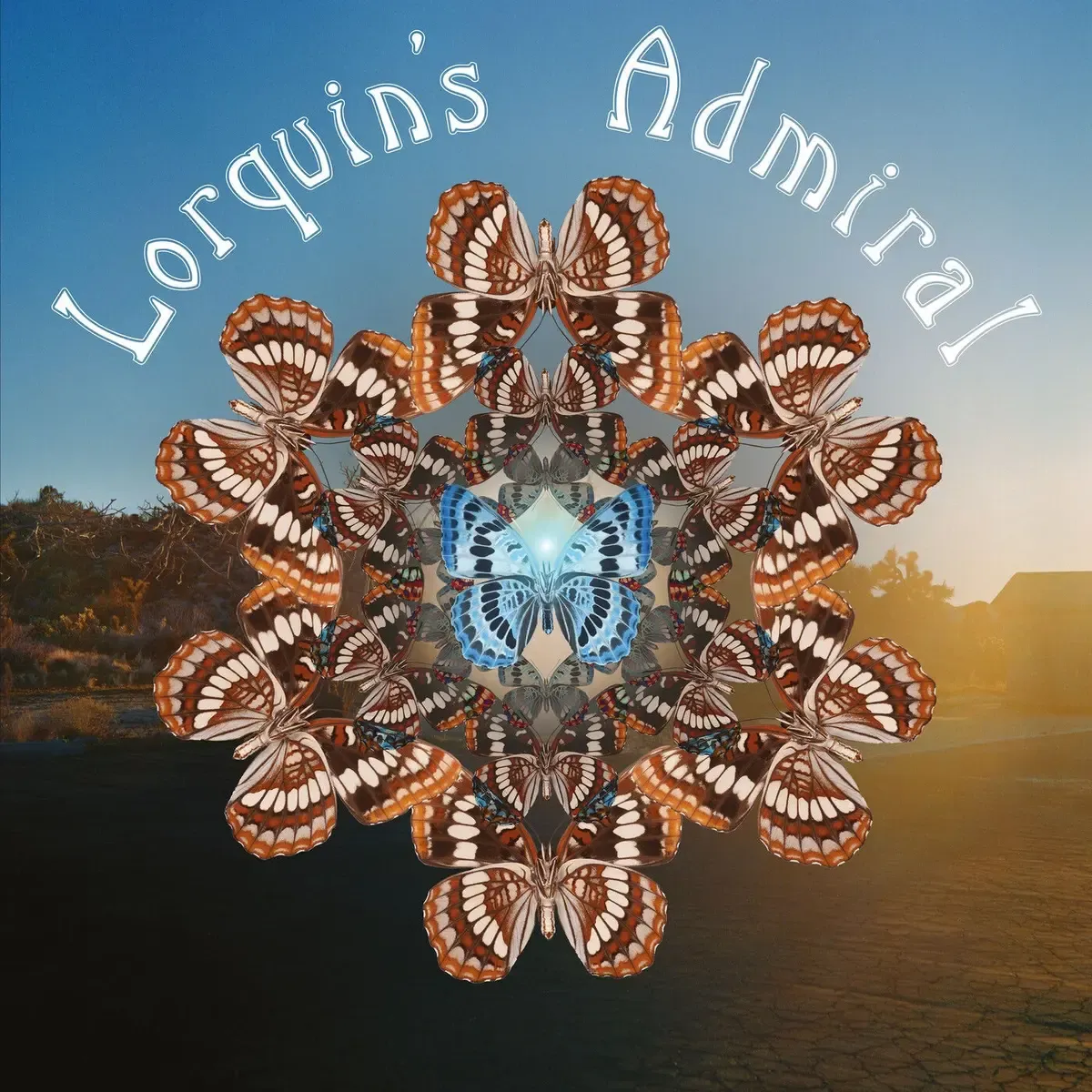 Lorquin's Admiral - Lorquin’s Admiral | Argonauta Records (REX2519LP) - main