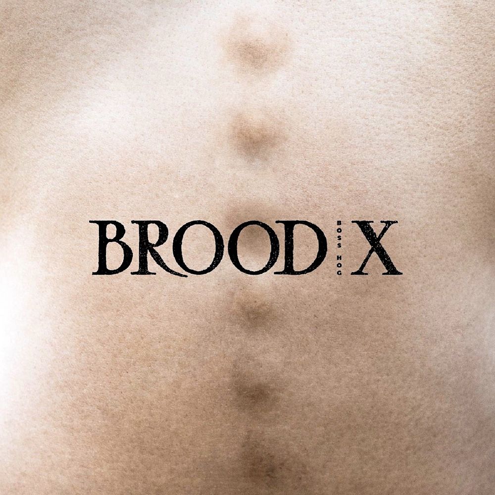 Boss Hog - Brood X [Vinyl] | In The Red Recordings (ITR 311) - 2
